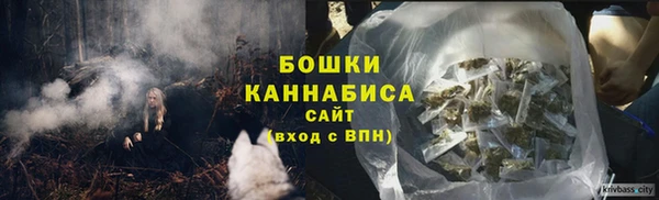 apvp Горняк
