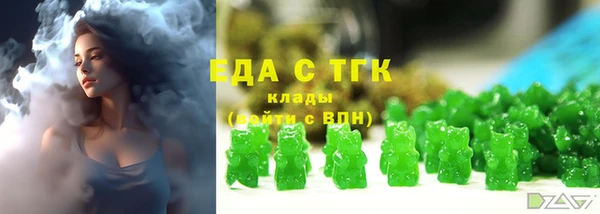 мдпв Горно-Алтайск