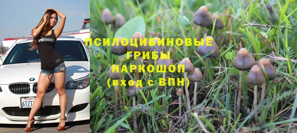 мдпв Горно-Алтайск