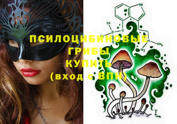 apvp Горняк