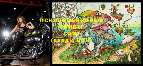 молекула духа Туринск