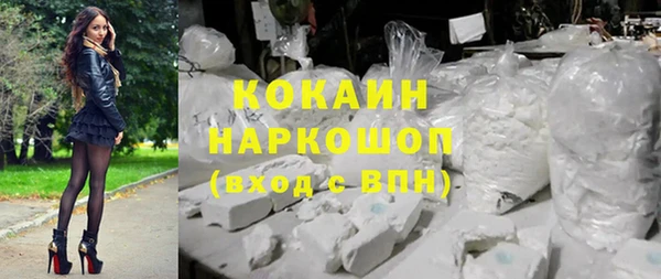 apvp Горняк