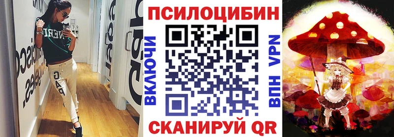 MEGA как зайти Камешково Псилоцибиновые грибы Magic Shrooms купить наркотик